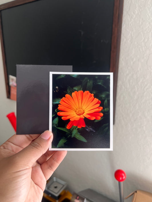 Custom Flexible Photo Magnet- Large