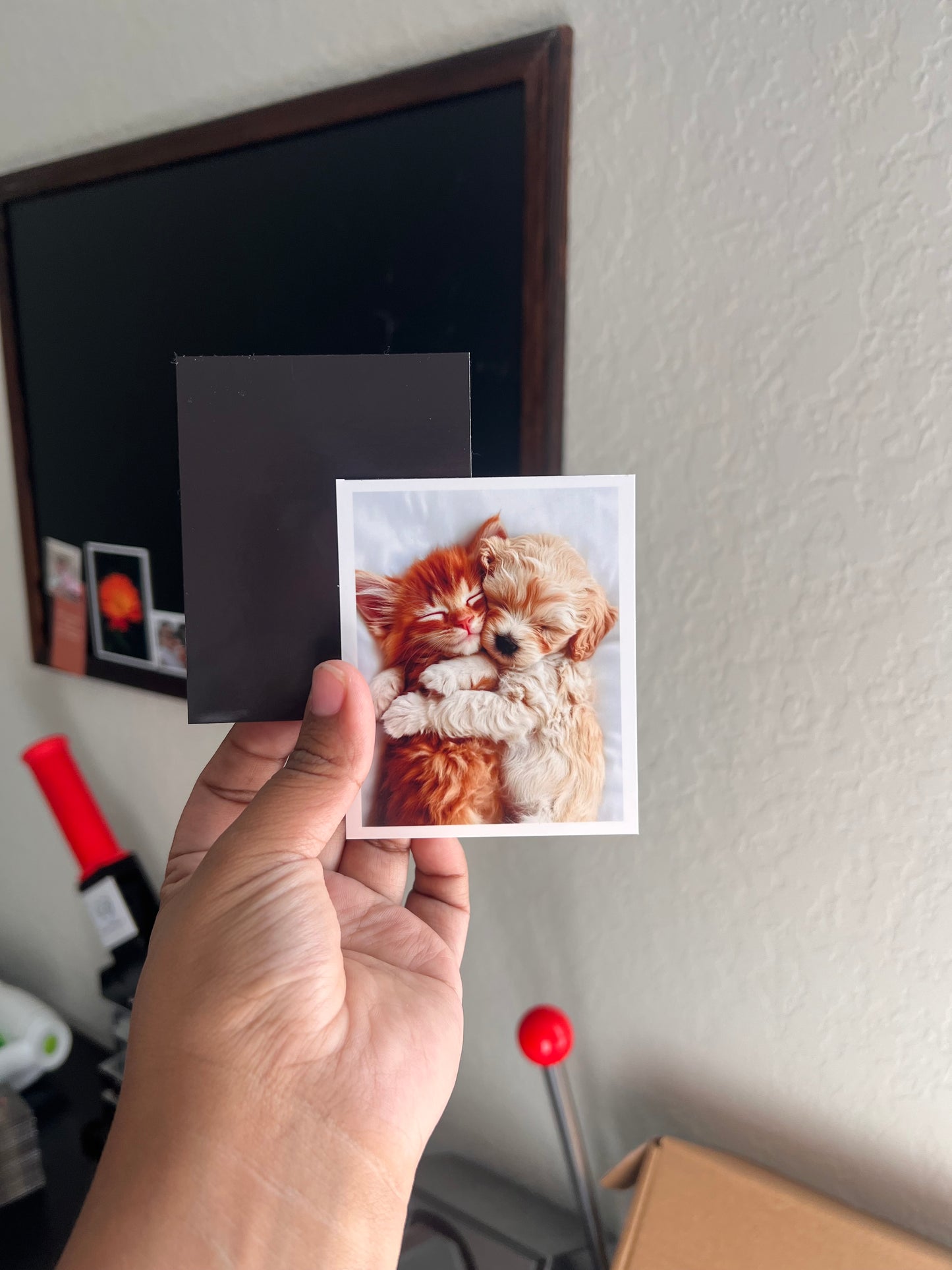 Custom Flexible Photo Magnet- Medium